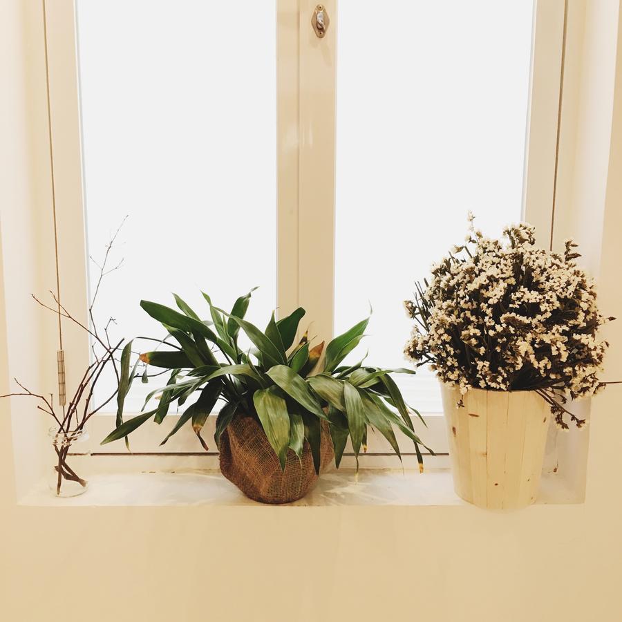 Supe Homestay Ho Chi Minh-stad Buitenkant foto